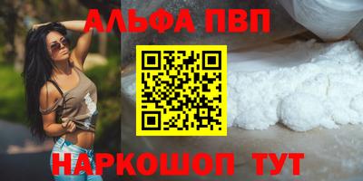 jwh Кингисепп