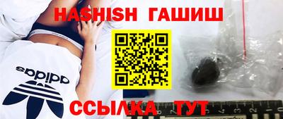 jwh Кингисепп