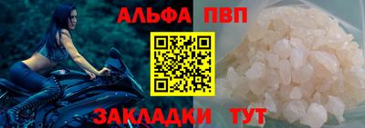 jwh Кингисепп